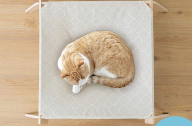 [P5倍 18日 9：59まで] 猫用 ハンモック キャットラウンジ ゆったりサイズ キャットハンモック 猫ベッド ネコベッド キャットベッド 洗える 春 夏 秋 冬 猫 猫用品 ねこ ネコ ベッド ベット マット 寝具 ペットハンモック 犬 木製 熱中症対策 catlounge