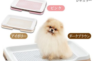 【8/8まで400円クーポン＆マラソン限定P2倍】リッチェル 犬用 お掃除簡単ステップトレー レギュラー【トイレ用品/トイレトレー・トイレ容器（トイレトレイ）/犬のトイレ】【犬用品/ペット・ペットグッズ/ペット用品】【あす楽対応】