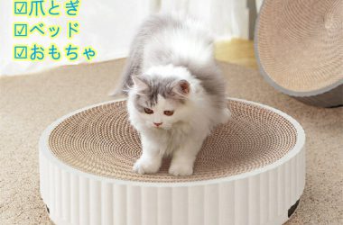 【マラソン5日まで10％OFF＆P10倍】猫爪とぎ 遊べるボール付き サークルタイプ 本体と詰替え段ボール1枚付き 猫用 爪とぎ 猫 ネコ 猫用 爪 ツメ つめとぎ 爪とぎ おしゃれ ダンボール ガリガリ インテリア 猫用品 爪研ぎセット 送料無料※北海道 沖縄 離島を除く