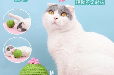 「スーパーセール 30％OFF」猫 ボール おもちゃ 玩具 遊び 一人遊び 爪とぎ 爪研ぎ 麻縄巻き ストレス解消 運動不足対応 留守番対応 知育 猫用ミント付き カクタス サボテン ねこ 猫用 ペット用品 ペット用お手入れ用品