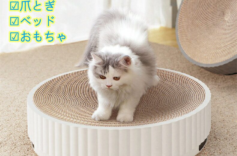 【半額  スーパーセール】猫爪とぎ 遊べるボール付き サークルタイプ 本体と詰替え段ボール1枚付き 猫用 爪とぎ 猫 ネコ 猫用 爪 ツメ つめとぎ 爪とぎ おしゃれ ダンボール ガリガリ インテリア 猫用品 爪研ぎセット 送料無料※北海道 沖縄 離島を除く