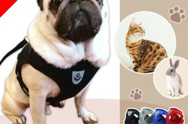 【累計販売2,070着 楽天1位受賞】 犬 猫 ウサギ 用 ハーネス 選べる4色各5サイズ リード 服 小型犬 中型犬 大型犬 ミニチュアダックス 犬 ハーネス ベスト 送料無料