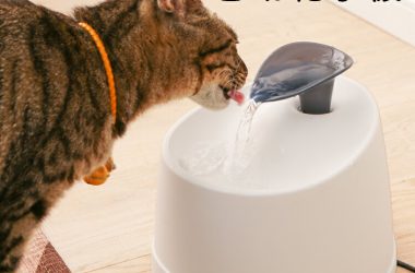 自動給水器 猫 犬 水飲み器 ペット 自動 給水器 PWF-200 アイリスオーヤマ 自動水やり器 自動水やり機 水飲み器 みずのみ器 猫 水 ペット給水器 ペット自動給水器 活性炭フィルター 猫用 犬用 おしゃれ 自動補水 水洗い