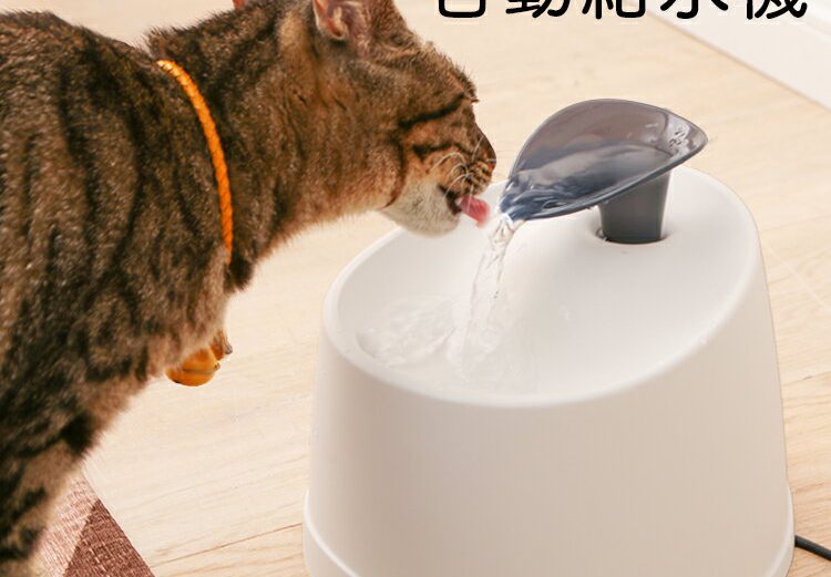 自動給水器 猫 犬 水飲み器 ペット 自動 給水器 PWF-200 アイリスオーヤマ 自動水やり器 自動水やり機 水飲み器 みずのみ器 猫 水 ペット給水器 ペット自動給水器 活性炭フィルター 猫用 犬用 おしゃれ 自動補水 水洗い