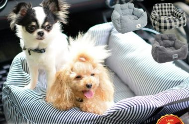 【セール】犬 小型犬 犬用 ベッド 車 お出かけ アウトドア 防災 ドライブ用品 通年 カー用品 ベッド カドラー プレサーモC-25 サイズ交換OK/返品不可 ●100円OFFクーポン●ドライブベッド M