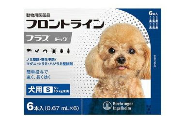 【動物用医薬品】フロントラインプラス 犬用 S 5～10kg未満(6本入)【フロントラインプラス】